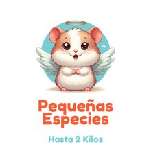 SKY-PETS-SERVICIOS-FUNERARIOS-PARA-MASCOTAS-PEQUEÑAS-ESPECIES
