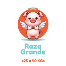 SKY-PETS-SERVICIOS-FUNERARIOS-PARA-MASCOTAS-RAZA-GRANDE