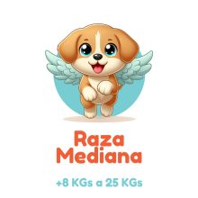 SKY-PETS-SERVICIOS-FUNERARIOS-PARA-MASCOTAS-RAZA-MEDIANA