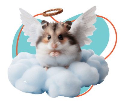 skypet-honrando-vidas-abraznado-recuerdos-slide-2