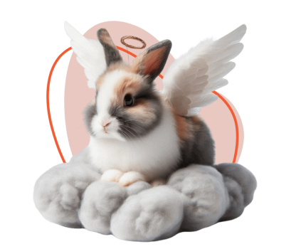 skypet-honrando-vidas-abraznado-recuerdos-slide-3