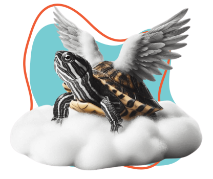 skypet-honrando-vidas-abraznado-recuerdos-slide-4