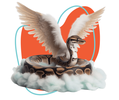 skypet-honrando-vidas-abraznado-recuerdos-slide-5