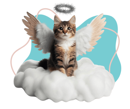 skypet-honrando-vidas-abraznado-recuerdos-slide-6