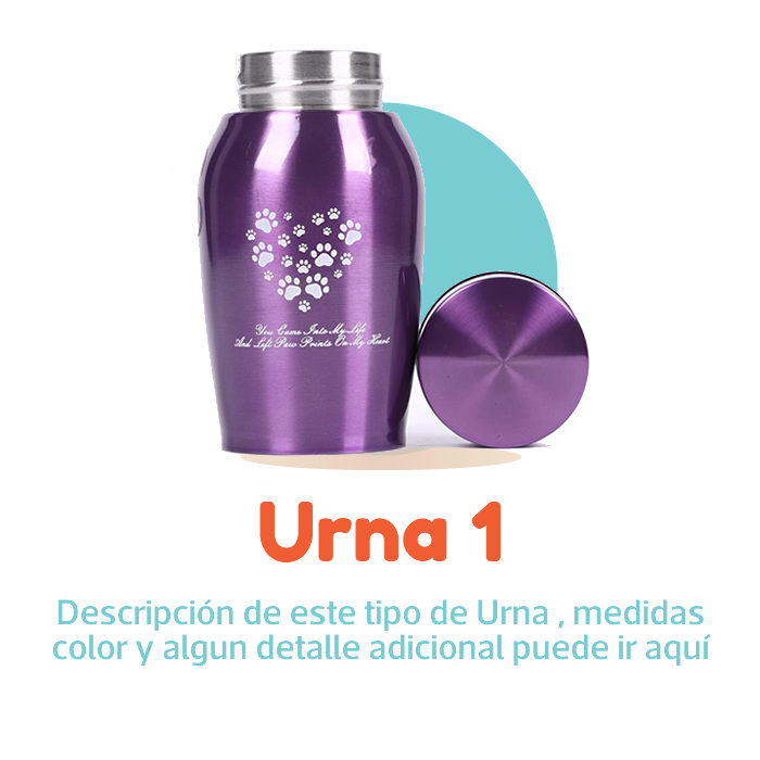 SKY-PETS-SERVICIOS-FUNERARIOS-PARA-MASCOTAS-URNA-PLAN-SKY-VUELA-1-B