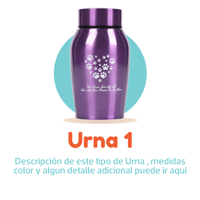 SKY-PETS-SERVICIOS-FUNERARIOS-PARA-MASCOTAS-URNA-PLAN-SKY-VUELA-1