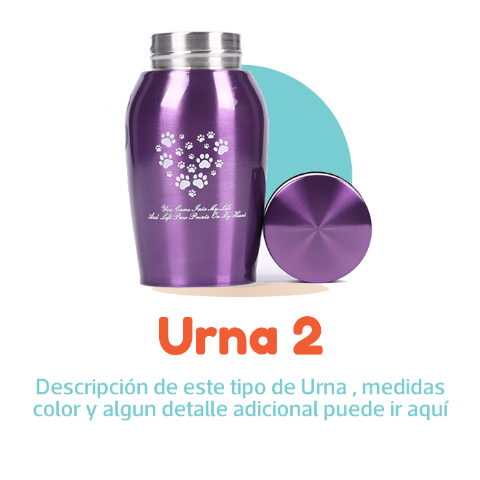 SKY-PETS-SERVICIOS-FUNERARIOS-PARA-MASCOTAS-URNA-PLAN-SKY-VUELA-2-B