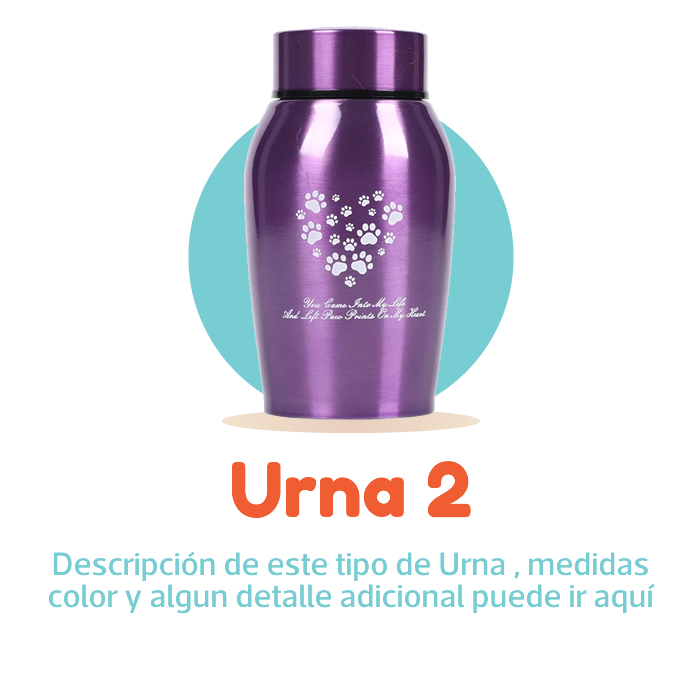 SKY-PETS-SERVICIOS-FUNERARIOS-PARA-MASCOTAS-URNA-PLAN-SKY-VUELA-2