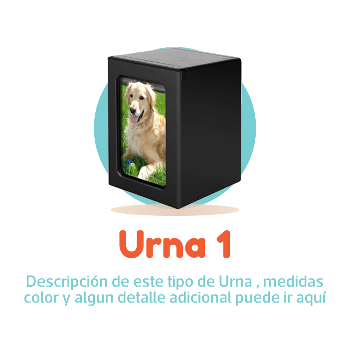 SKY-PETS-SERVICIOS-FUNERARIOS-PARA-MASCOTAS-URNA-PLAN-TE-RECUERDO-1-B