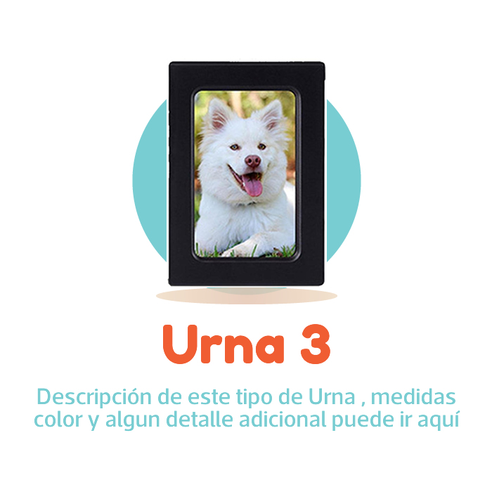 SKY-PETS-SERVICIOS-FUNERARIOS-PARA-MASCOTAS-URNA-PLAN-TE-RECUERDO-3